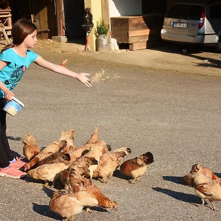 Turisticna Kmetija Cebelji Gradic Apartament Rogašovci