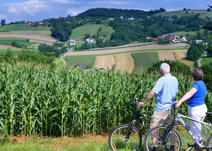 Apartamento Turisticna Kmetija Cebelji Gradic